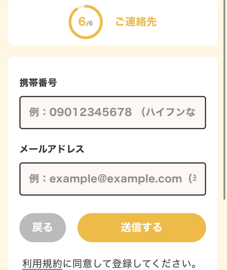 薬剤師キャリアナビ無料登録の内容6